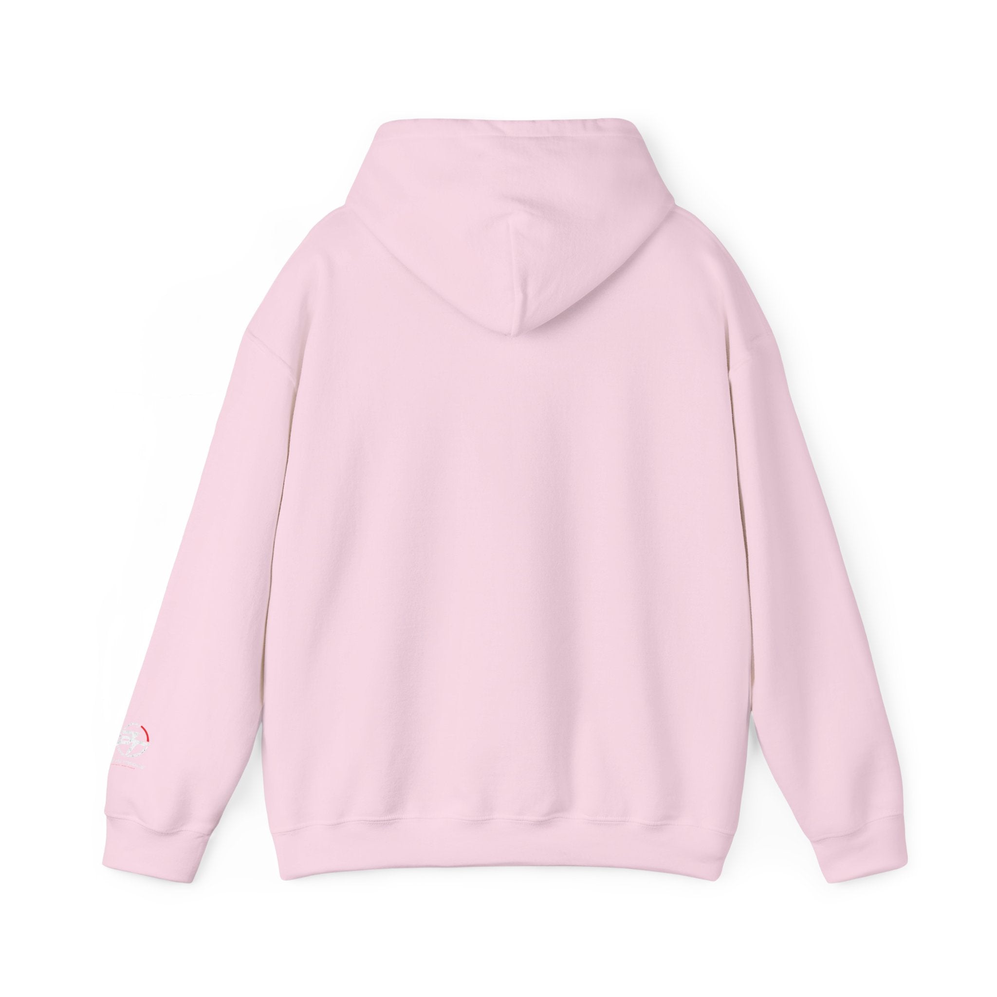 Car Hoodie — "Silent Until Provoked" Baltic Tuning Pullover